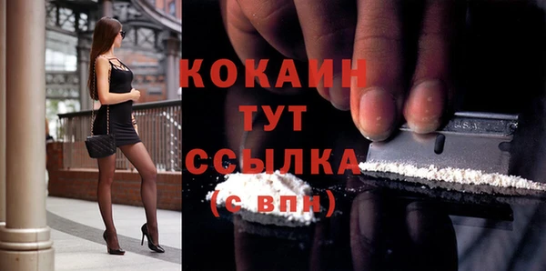 стафф Дмитриев