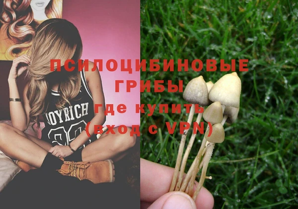 стафф Дмитриев