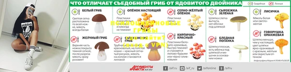 стафф Дмитриев