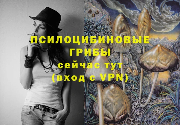стафф Дмитриев