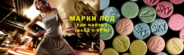 стафф Дмитриев