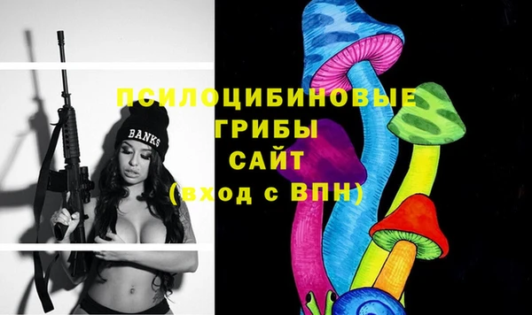 стафф Дмитриев