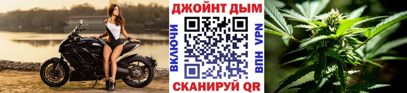 Канабис сатива Кущёвская